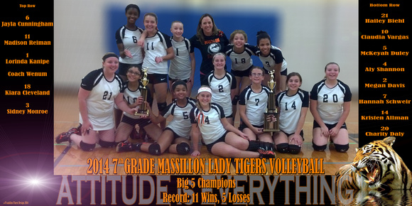 ©a Franklins Finest Design Massillon Middle SChool Lady Tigers Volleyball Team 2014 DVD